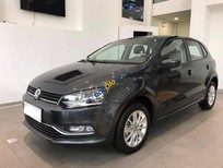 Volkswagen Polo 2017 - Bán Volkswagen Polo năm 2017, màu xám, nhập khẩu 