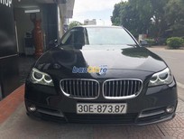 Bán BMW 1 Cũ  5 520i 206 2016 - Xe Cũ BMW 5 520i 2016