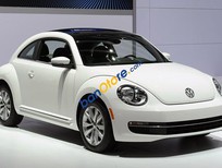 Volkswagen Beetle 2017 - Bán Volkswagen Beetle năm sản xuất 2017, màu trắng, nhập khẩu, giá tốt
