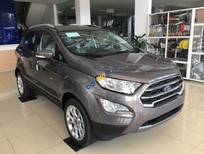 Ford EcoSport 1.5L MT Ambiente 2018 - Tư vấn mua xe Ford Ecosport 2018 giao xe ngay, hỗ trợ trả góp lên đến 80%, trả trước 180 triệu, LH 0946974404