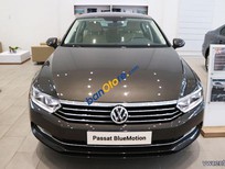 Volkswagen Passat bluemotion 2018 - Bán Passat Bluemotion 2018, ưu đãi 20 triệu, 1năm bảo dưỡng, 1 năm bảo hiểm
