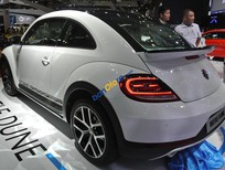 Cần bán xe Volkswagen New Beetle 2018 - Bán Volkswagen New Beetle sản xuất 2018, màu trắng, xe nhập