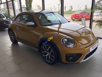 Bán xe oto Volkswagen New Beetle 2018 - Cần bán xe Volkswagen New Beetle năm 2018, màu cam, nhập khẩu