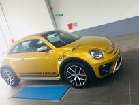 Bán xe oto Volkswagen New Beetle 2017 - Bán xe Volkswagen New Beetle sản xuất năm 2017, màu vàng, xe nhập