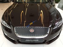 Jaguar XJL Portfolio 2018 - Jaguar XJL Porfolio - dòng xe đỉnh cao tại VN - tặng trước bạ