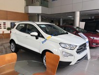 Cần bán xe Ford EcoSport 1.0L AT Titanium 2018 - Bán Ford Ecosport Titanium tại Hải Dương giao ngay, đủ màu, giảm cực mạnh, hỗ trợ 80%, 8 năm - LH: 033.613.5555