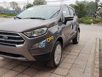 Ford EcoSport Titanium 2018 - Bán Ecosport 2018 Titanium, màu xám ghi, hỗ trợ trả góp tại Cao Bằng LH: 0941921742