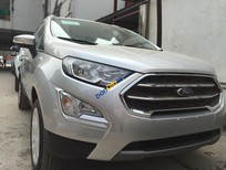 Ford EcoSport Titanium  2018 - Cần bán xe Ford EcoSport Titanium năm 2018, màu bạc