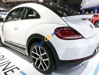 Cần bán xe Volkswagen Beetle 2018 - Bán Volkswagen Beetle năm sản xuất 2018, màu trắng, xe nhập, xe mới 100%