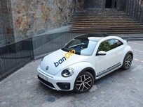 Cần bán Volkswagen New Beetle 2018 - Bán Volkswagen New Beetle năm 2018, màu trắng, nhập khẩu nguyên chiếc
