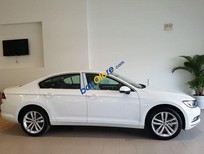 Cần bán xe Volkswagen Passat 2017 - Bán ô tô Volkswagen Passat sản xuất 2017, màu trắng, nhập khẩu