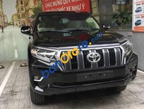 Toyota Prado VX 2005 - Bán ô tô Toyota Prado VX năm sản xuất 2005, màu đen, nhập khẩu