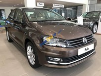 Volkswagen Polo 2017 - Bán ô tô Volkswagen Polo sản xuất 2017, màu nâu, nhập khẩu nguyên chiếc