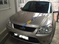 Ford Escape   2013 - Bán Ford Escape sản xuất 2013, màu bạc, giá chỉ 485 triệu