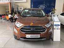 Bán Ford EcoSport 1.0L AT Titanium 2018 - Bán Ford Ecosport Titanium tại Ninh Bình giao ngay, đủ màu, giảm cực mạnh, hỗ trợ 80%, 8 năm - LH: 033.613.5555