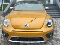 Volkswagen New Beetle 2018 - Bán Volkswagen New Beetle năm 2018, màu vàng, nhập khẩu