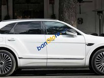 Bentley Bentayga 2017 - Bán Bentley Bentayga 2017, màu trắng, xe nhập