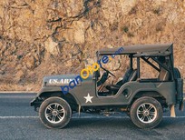 Jeep CJ 1975 - Bán Jeep CJ năm sản xuất 1975, màu xám, nhập khẩu chính chủ