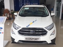 Bán Ford EcoSport Titanium 1.0 2018 - Bán EcoSport 2018, giảm tiền mặt + dán phim, BHVC, lót sàn, bệ bước, trả trước 10%. LH 0989022295 tại Bắc Kạn