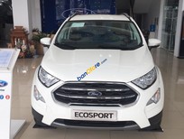 Ford EcoSport Titanium 1.0 2018 - Bán EcoSport 2018, giảm tiền mặt + dán phim, BHVC, lót sàn, bệ bước, trả trước 10%. LH 0989022295 tại Bắc Kạn