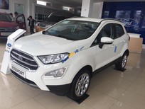 Cần bán Ford EcoSport Titanium 1.0 2018 - Cần bán xe Ford EcoSport Titanium 1.0 đời 2018, màu trắng, 650triệu. LH 0987987588