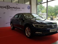 Bán Volkswagen Passat Bluemotion   2020 - Bán Volkswagen Passat Bluemotion 2020, nhập khẩu nguyên chiếc, giao xe ngay