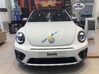Bán Volkswagen New Beetle 2018 - Cần bán Volkswagen New Beetle sản xuất 2018, màu trắng, nhập khẩu
