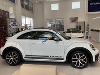 Volkswagen New Beetle 2018 - Bán xe Volkswagen New Beetle năm 2018, màu trắng, xe nhập