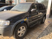 Ford Escape 2002 - Bán Ford Escape năm 2002, màu xám, giá chỉ 120 triệu