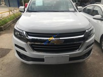 Chevrolet Colorado AT 2019 - Bán xe Chevrolet Colorado AT năm 2019, màu trắng, xe nhập 