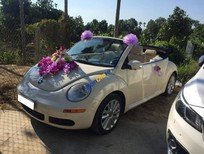 Cần bán Volkswagen Beetle 2.5AT 2009 - Bán Volkswagen Beetle năm sản xuất 2009, màu kem (be), nhập khẩu nguyên chiếc