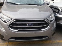 Ford EcoSport Titanium 2018 - Bán xe Ford EcoSport Titanium 2018 giá cạnh tranh cùng gói phụ kiện nhiều món, lh 0989022295 tại Cao Bằng