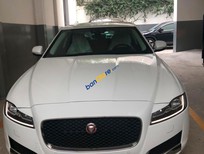 Cần bán Jaguar XF Prestige  2019 - Bán ô tô Jaguar XF Prestige sản xuất 2019, màu trắng, nhập khẩu