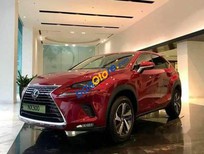 Bán xe oto Lexus NX 300 2019 - Bán Lexus NX 300 sản xuất năm 2019, màu đỏ, khẩu, hỗ trợ mua trả góp