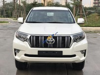 Toyota Land Cruiser Prado VX 2019 - Cần bán Toyota Land Cruiser Prado VX năm sản xuất 2019, màu trắng, nhập khẩu