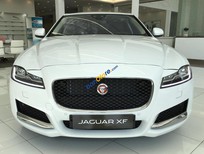 Cần bán xe Jaguar XF 2019 - Cần bán xe Jaguar XF năm 2019, màu trắng, nhập khẩu