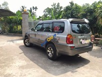 Hyundai Terracan 2002 - Bán Hyundai Terracan sản xuất 2002, màu bạc, xe nhập