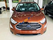 Bán xe oto Ford EcoSport 2019 - Cần bán xe Ford EcoSport năm sản xuất 2019