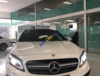 Bán xe oto Mercedes-Benz GLA-Class GLA 45 AMG 2016 - Bán Mercedes GLA 45 AMG 2016, màu trắng, nhập khẩu