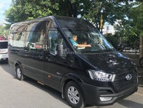 Hyundai Xe khách 2020 - Bán Hyundai Solati Thanh Hóa 2020 rẻ nhất chỉ 300tr, vay 80%