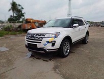 Ford Explorer 2019 - Bán xe Ford Explorer 2.3 Ecoboost năm 2019, màu trắng, xe nhập