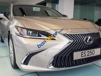 Bán xe oto Lexus ES 250   2019 - Bán ô tô Lexus ES 250 sản xuất năm 2019, màu vàng, nhập khẩu