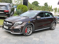 Mercedes-Benz GLA-Class GLA45 2015 - Bán Mercedes GLA45 2015, màu nâu, nhập khẩu 