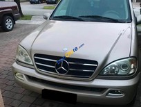 Cần bán xe Mercedes-Benz ML Class ML500 2003 - Cần bán Mercedes ML500 sản xuất 2003, màu bạc