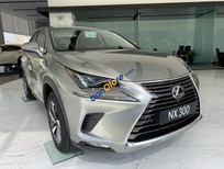 Cần bán Lexus NX 300 2019 - Bán xe Lexus NX 300 năm 2019, màu vàng, xe nhập