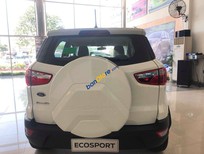 Cần bán Ford EcoSport 2019 - Bán Ford EcoSport sản xuất năm 2019, màu trắng