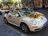 Volkswagen New Beetle 2.5 AT 2005 - Bán xe cũ Volkswagen New Beetle 2.5 AT 2005, màu kem (be), xe nhập