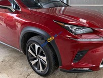 Lexus NX 300 2018 - Cần bán lại xe Lexus NX 300 sản xuất năm 2018, màu đỏ chính chủ