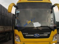 Cần bán Hyundai Universe 2008 - Bán xe Hyundai Universe sản xuất năm 2008, màu vàng 