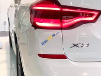 BMW X3 2019 - Bán BMW X3 2019, màu trắng, xe nhập 